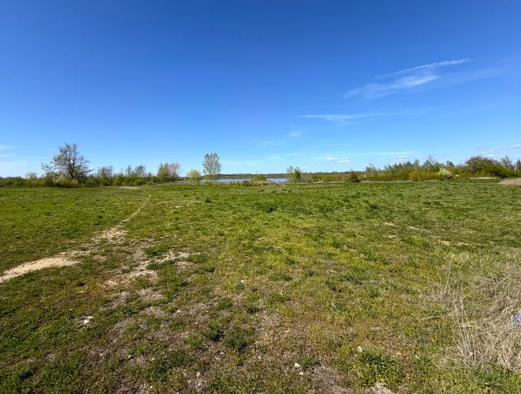 A grassy field under a blue sky, with trees and a body of water in the distance.
