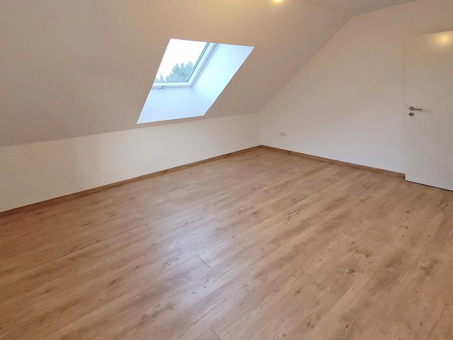 Klein aber Fein - Ideal für Singles - Foto 5