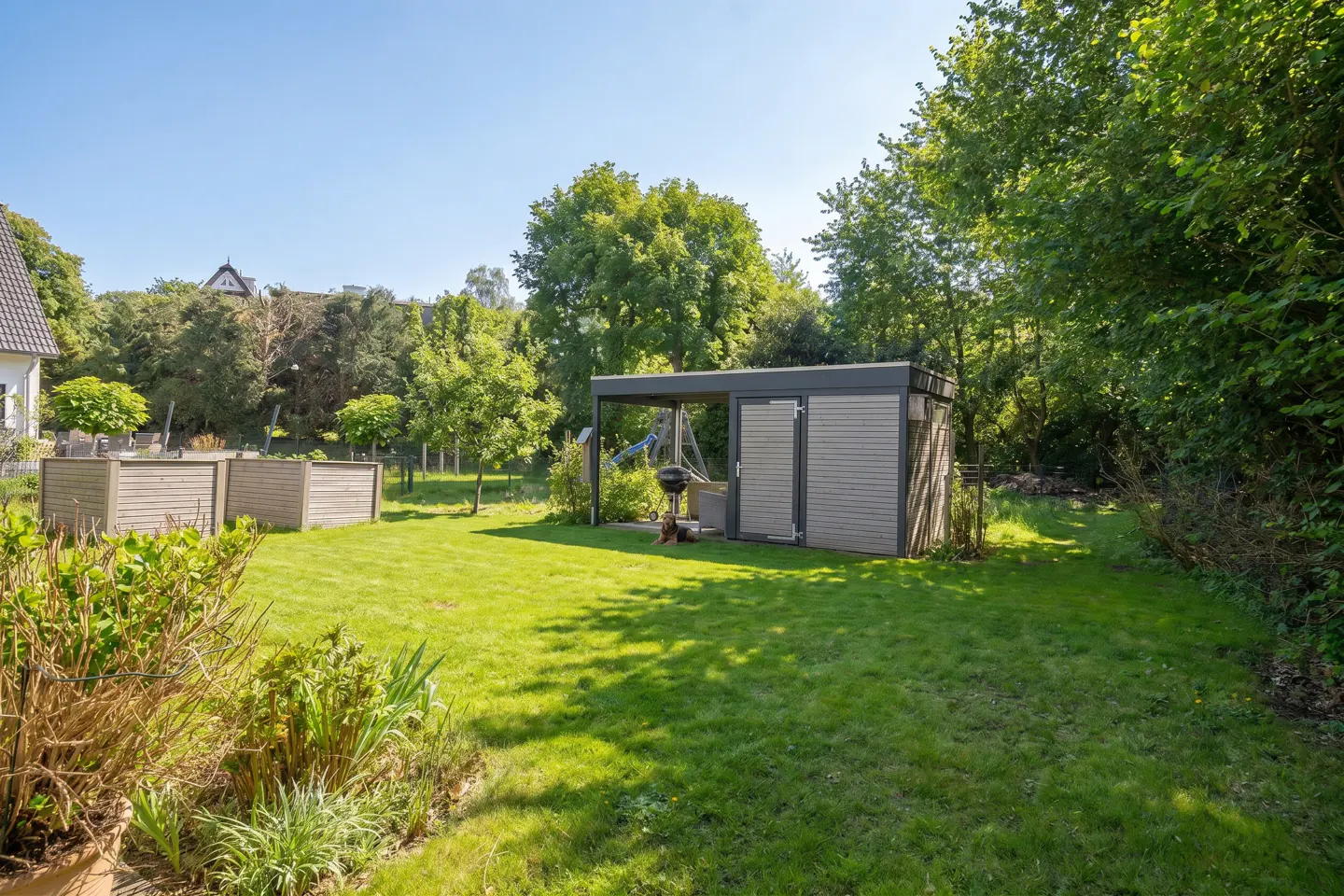 A backyard with green grass, trees, and a gray shed with a grill.