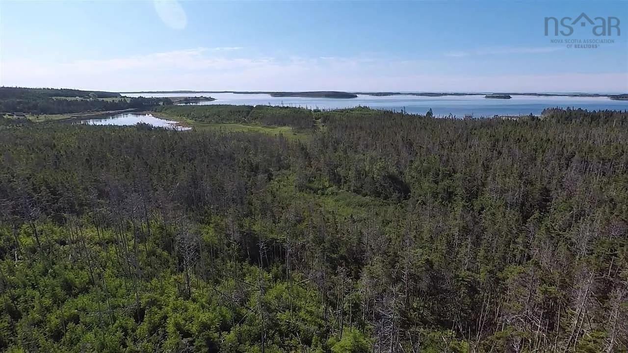 250ft of oceanfront. A nature lovers dream!