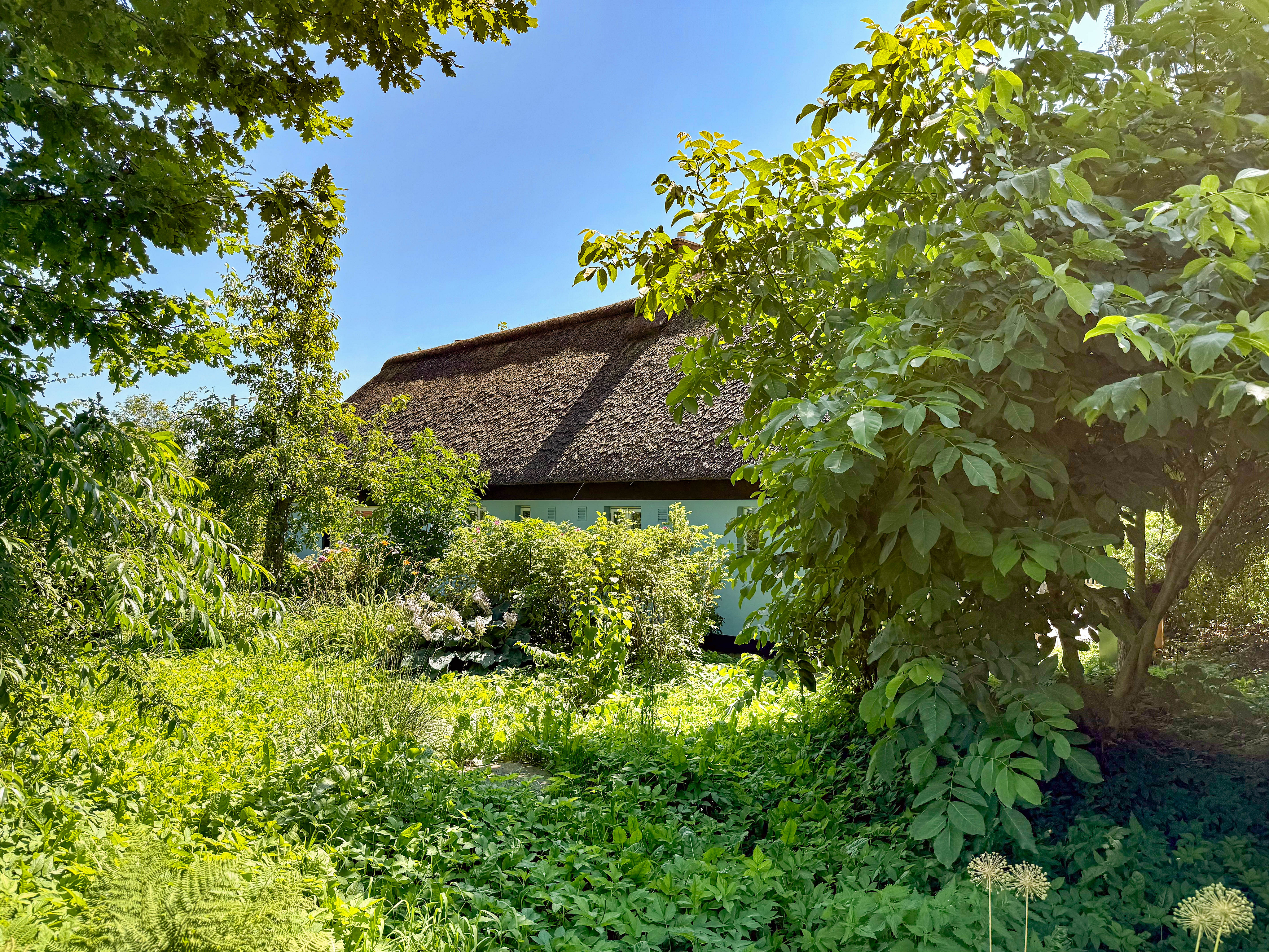 Ein Leben in Ruhe und Natur: Reetdachhaus in Nordseenähe für Liebhaber des Besonderen