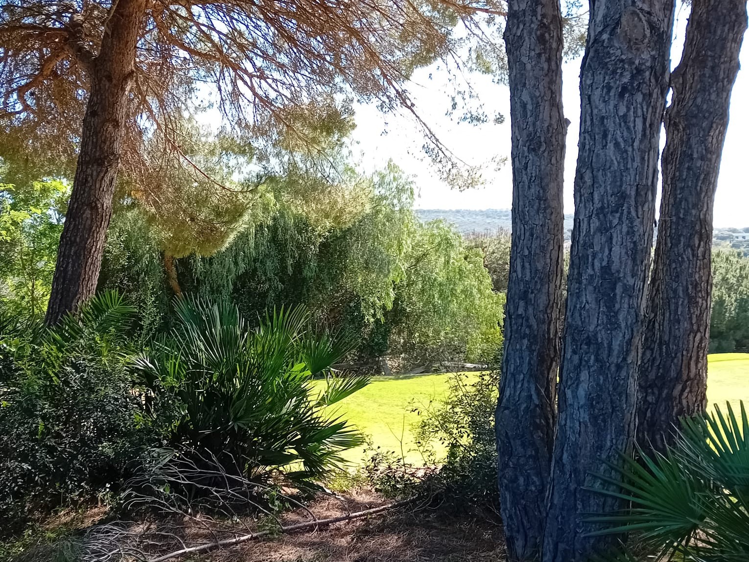 GRUNDSTÜCK IN DER AVENIDA ALMENARA, SOTOGRANDE ALTO