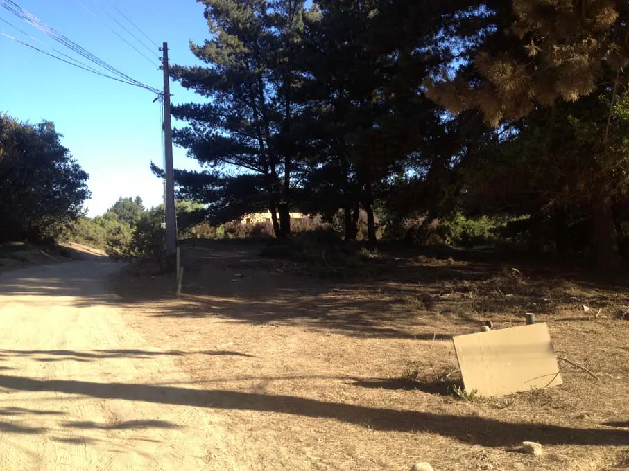 Dirt road leading to wooded area with tall trees and blue sky. A utility pole stands to the left. A sign lies on the ground.