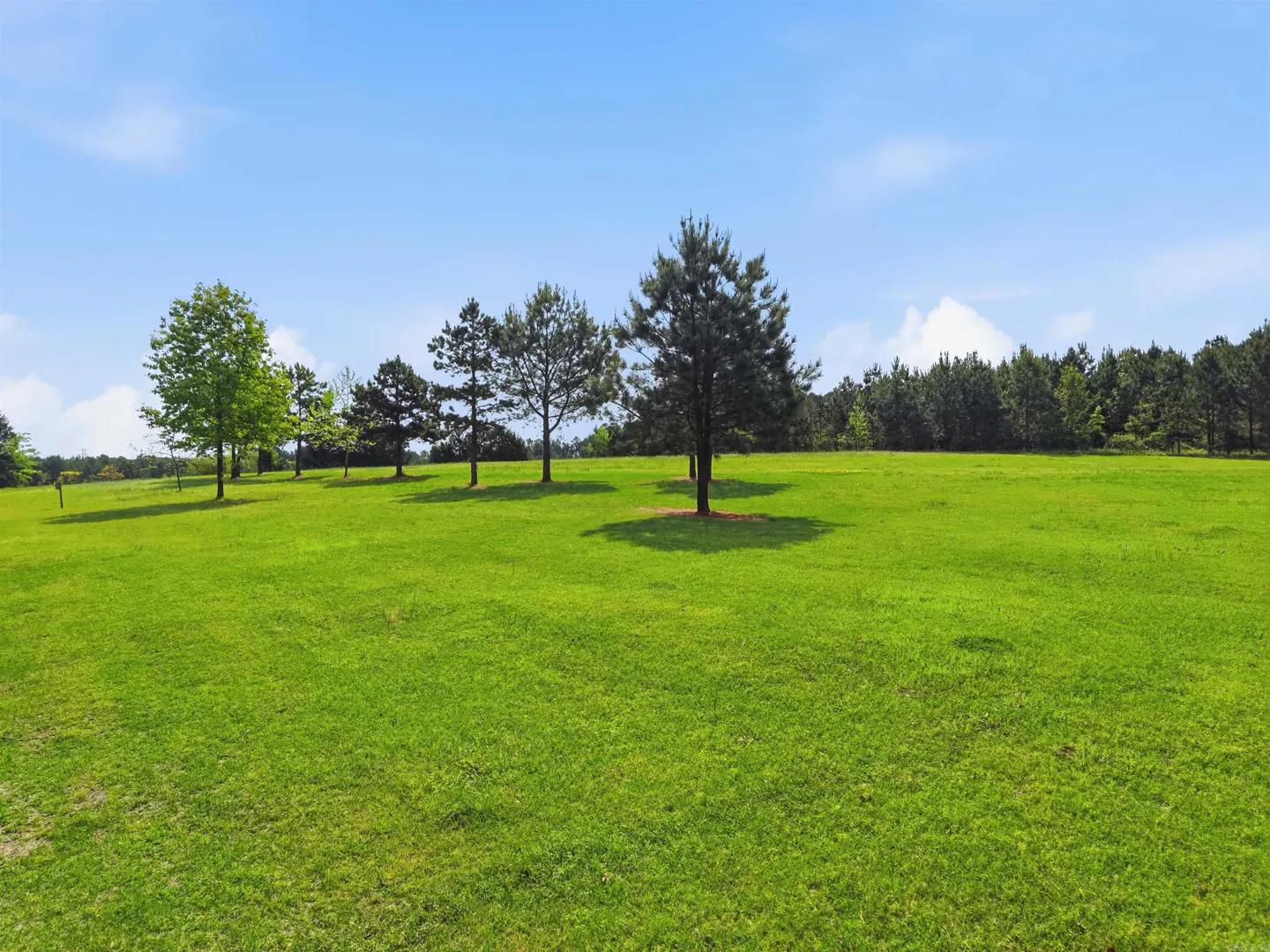 A large green lawn with scattered trees under a blue sky with light clouds.