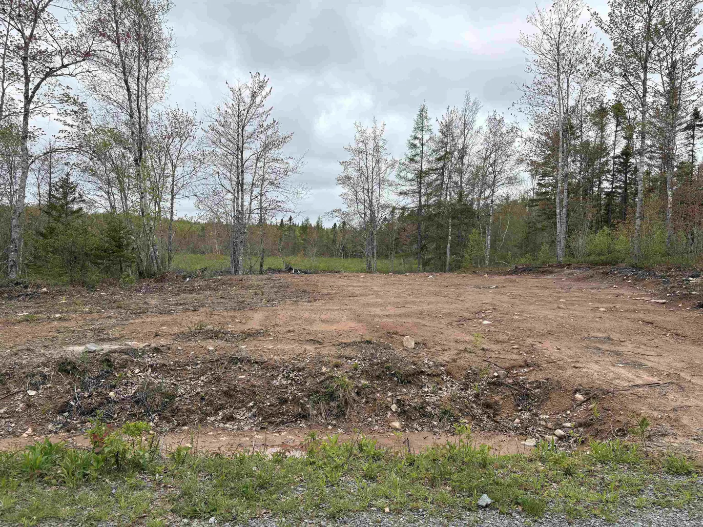 A cleared, level dirt lot for sale, bordered by a dense forest of tall, thin trees under a cloudy, overcast sky.