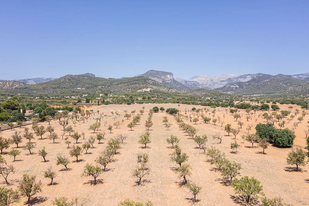 Plot with licence and amazing views of the Tramuntana mountains