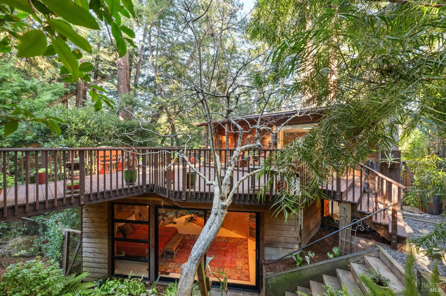 Exterior view of a wood-sided house with a deck, surrounded by lush greenery and trees. A red rug is visible through the window.