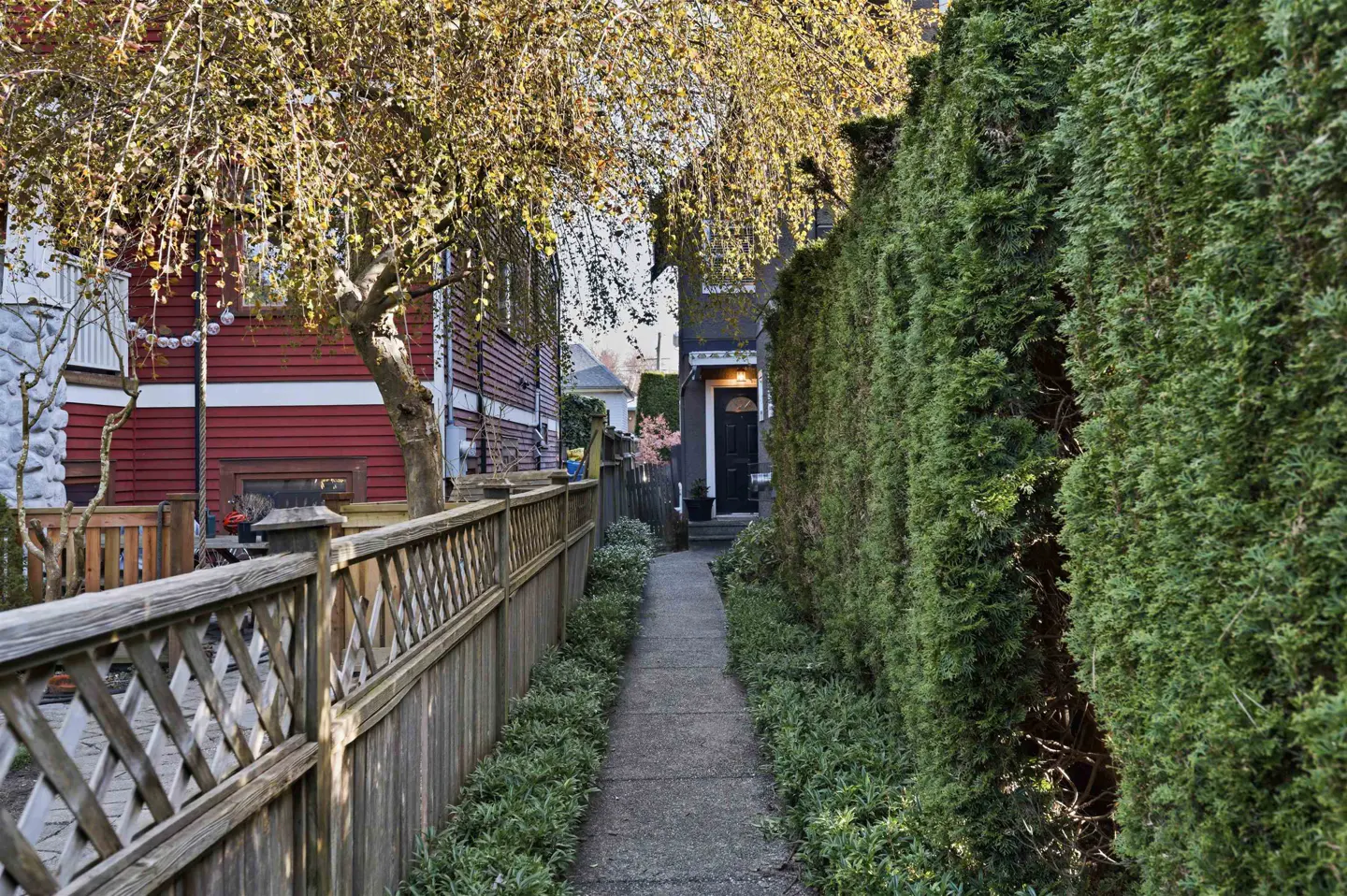 A narrow walkway leads to a house, bordered by a wooden fence and a tall green hedge.