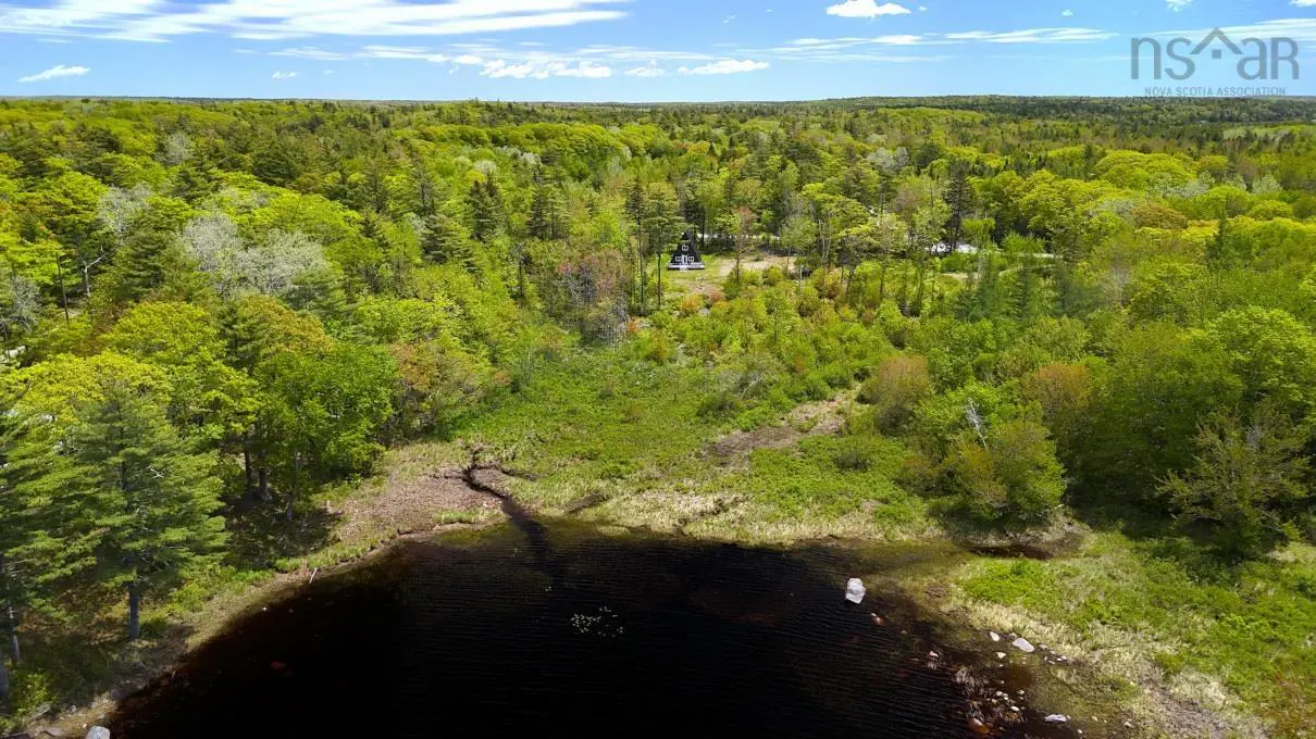 Aerial view of a small A-frame cabin nestled in a dense, lush green forest next to a dark pond under a blue sky.