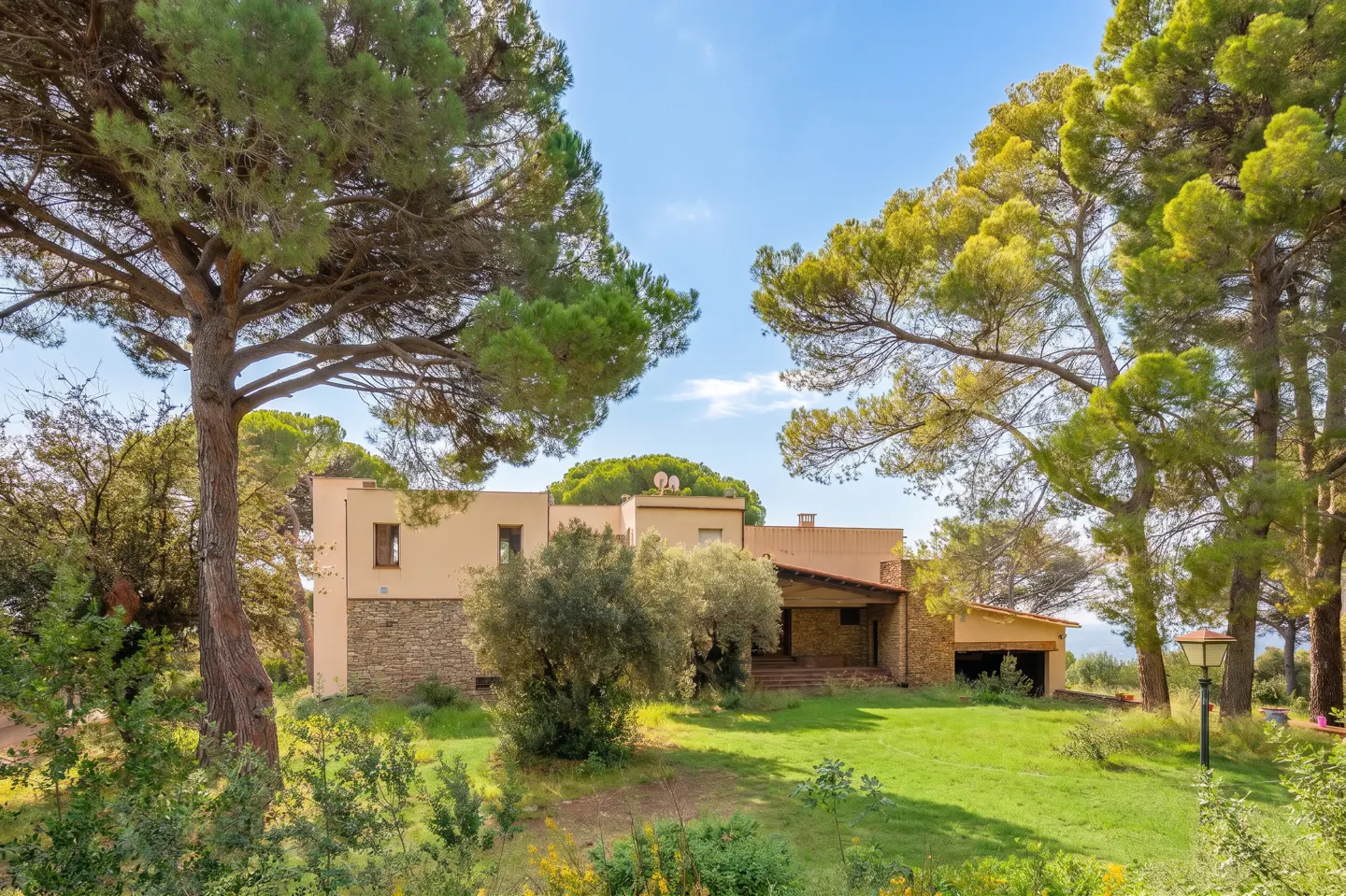 [AI-generated photo]