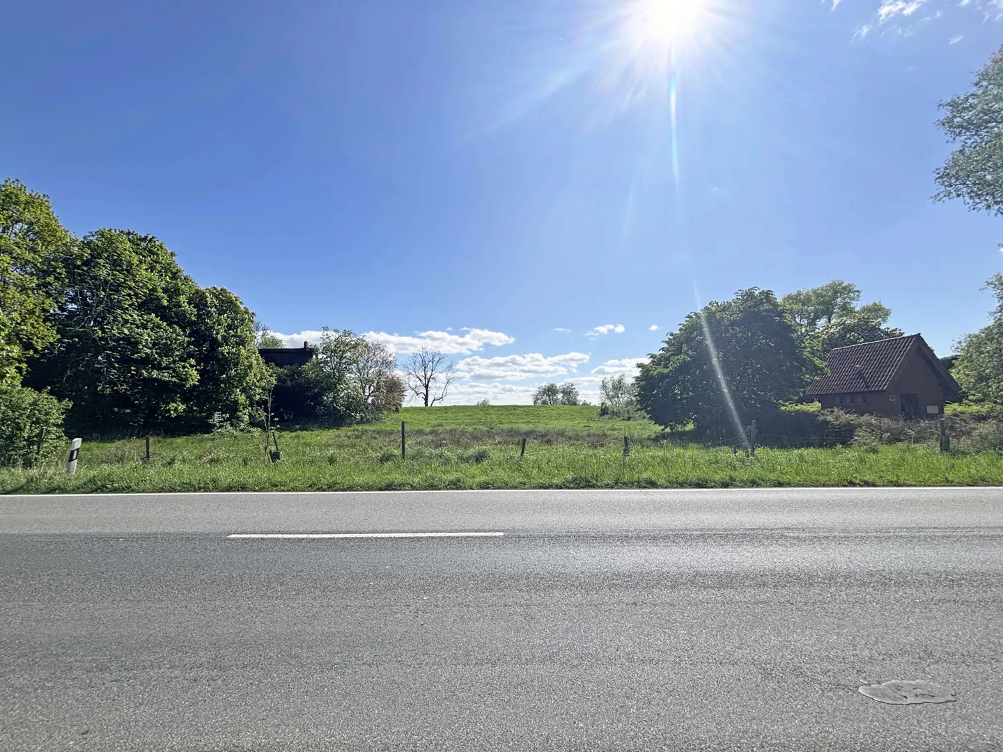A sunny view of a grassy lot with trees and a house, seen from a road with a white line.
