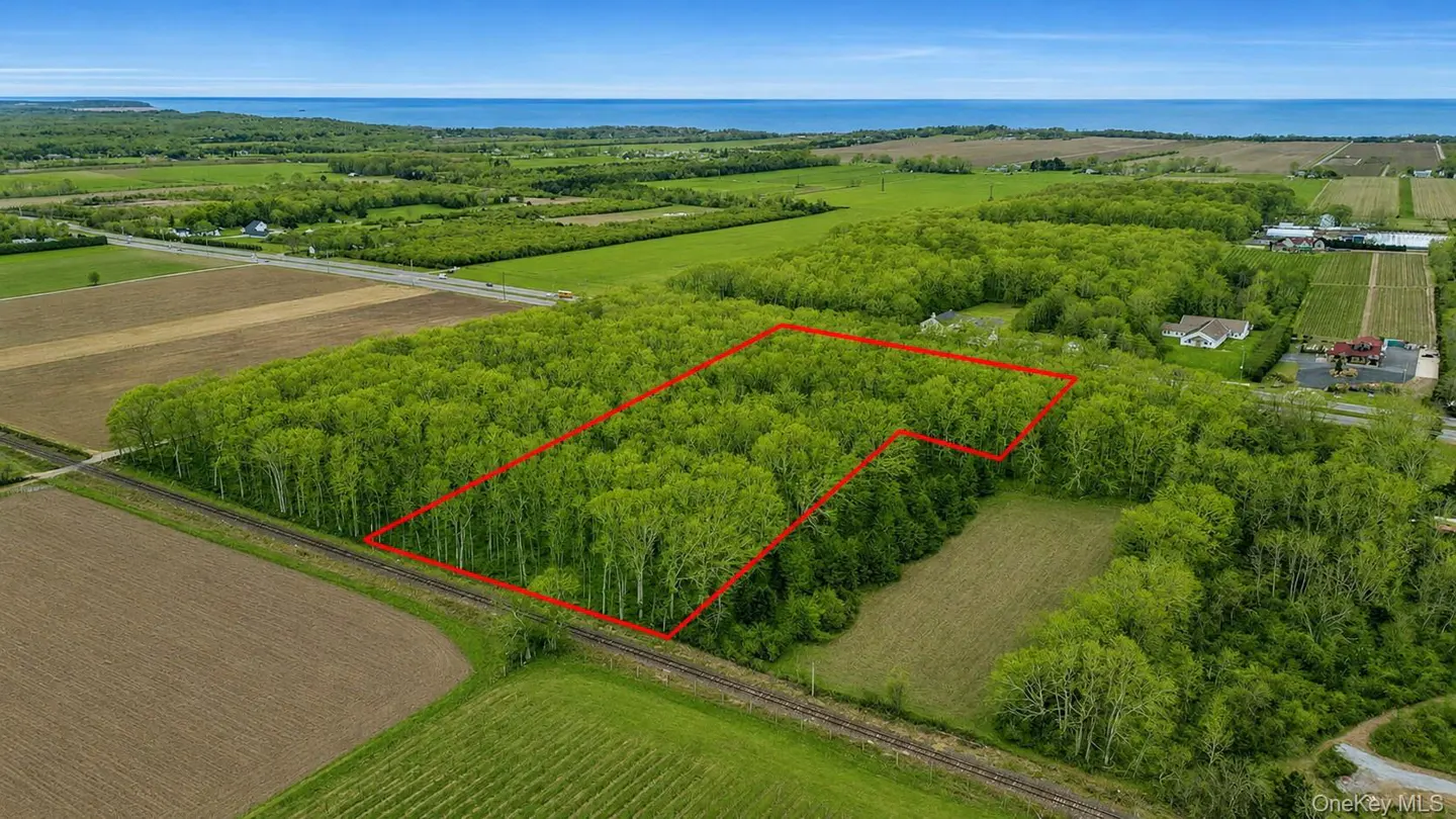 Aerial view of a wooded property outlined in red, with fields, a road, and the ocean in the background.