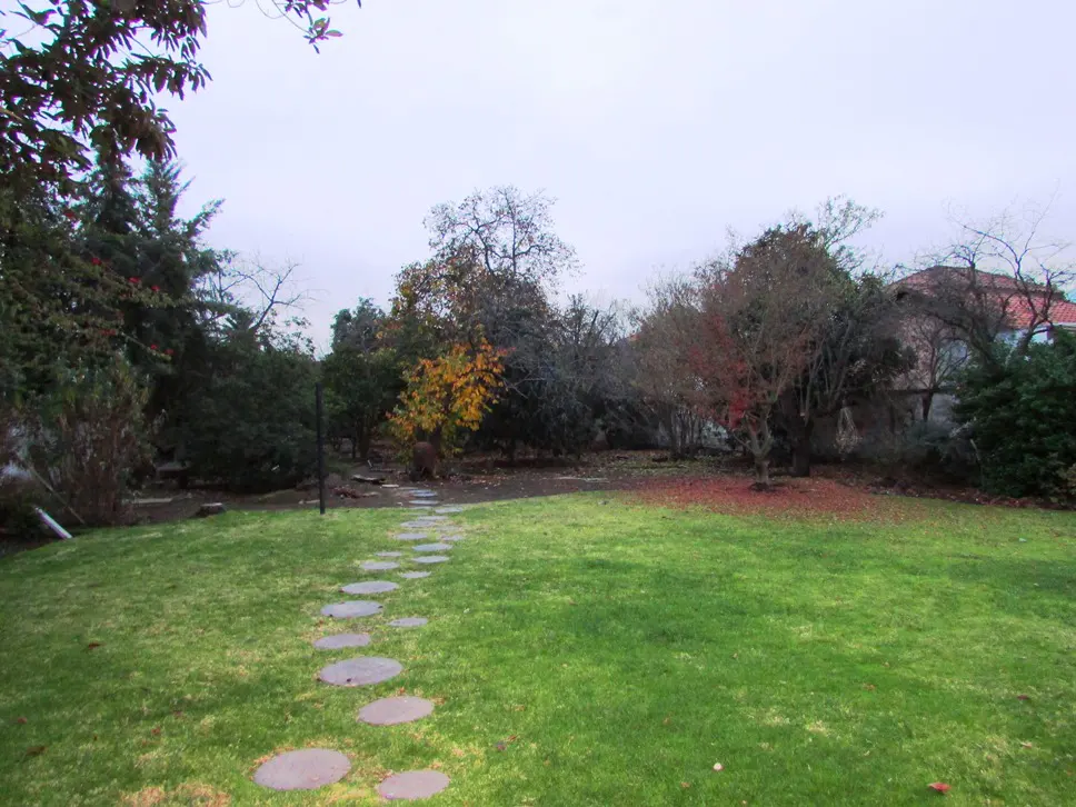 A backyard with a stone path leading to trees and a house in the background.