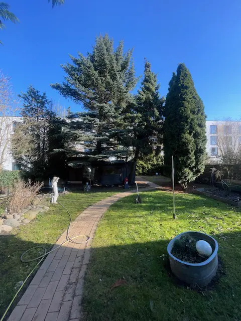 A brick path leads through a green lawn with trees and a shed in the background, under a clear blue sky.