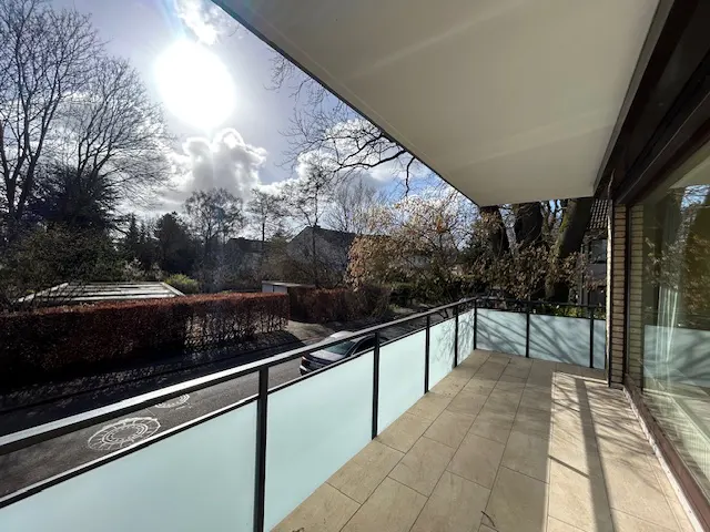 A sunny balcony with frosted glass railings overlooks a street with trees and a car.