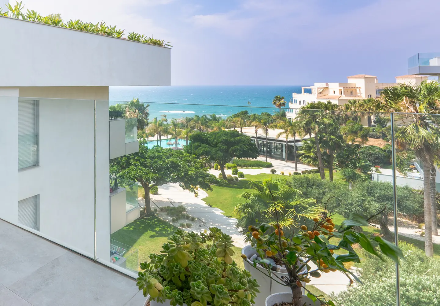 Balcony view of a resort with palm trees, a pool, and the ocean. Potted plants in the foreground. Blue sky.