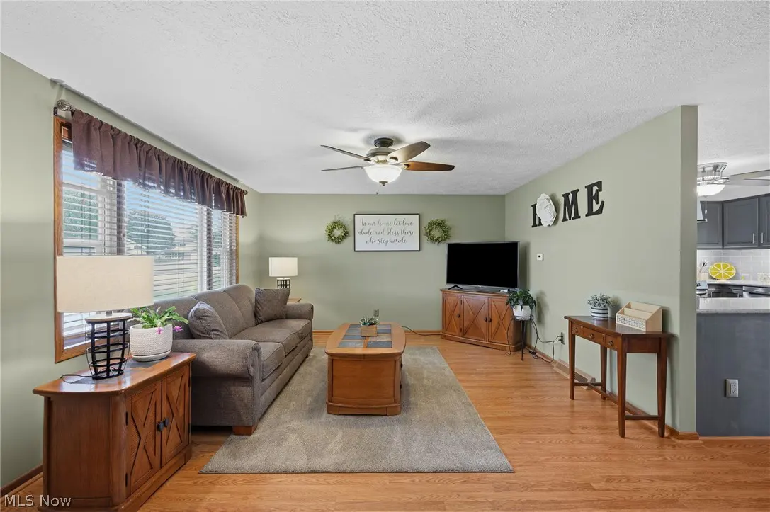 Living room with sage green walls, wood floors, and a gray sofa. A TV sits on a wooden cabinet. A ceiling fan hangs above.