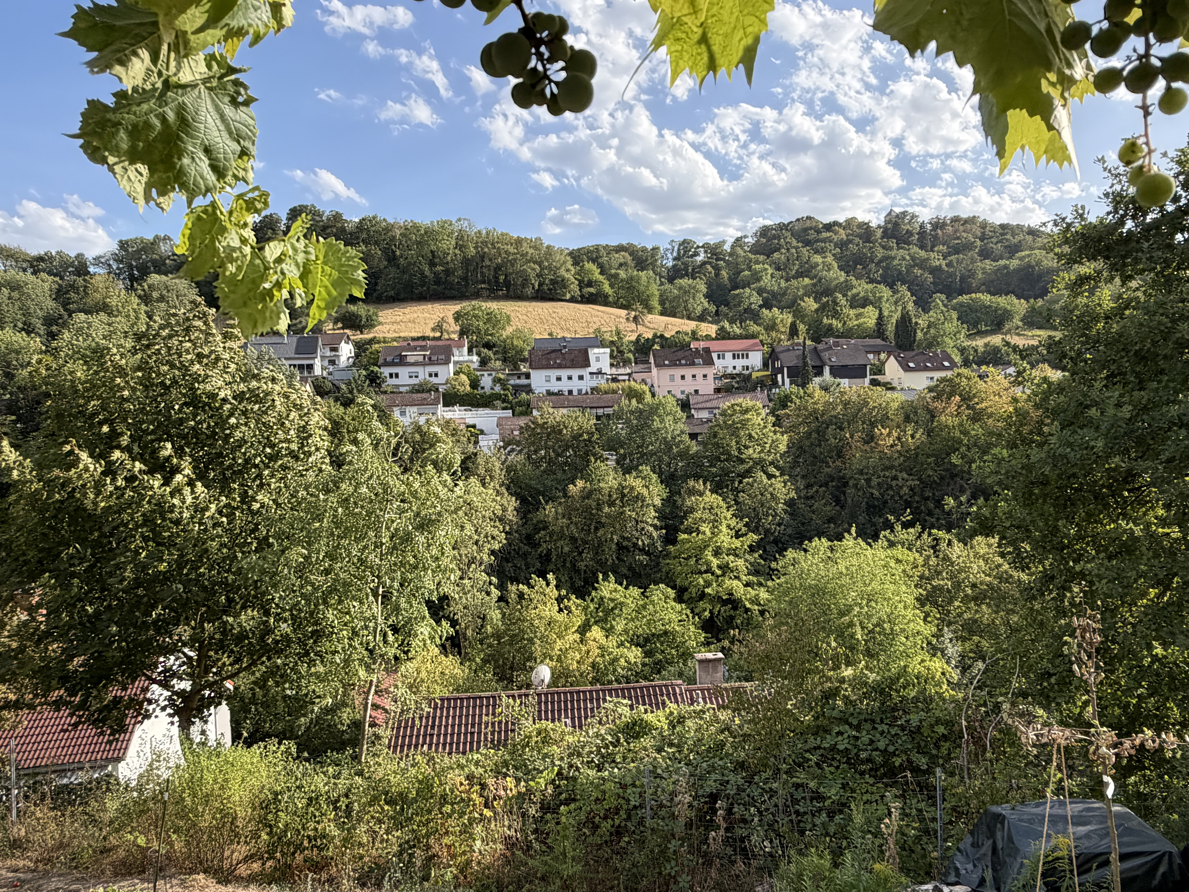 Großzügiges modernes Wohnen in ruhiger Hanglage