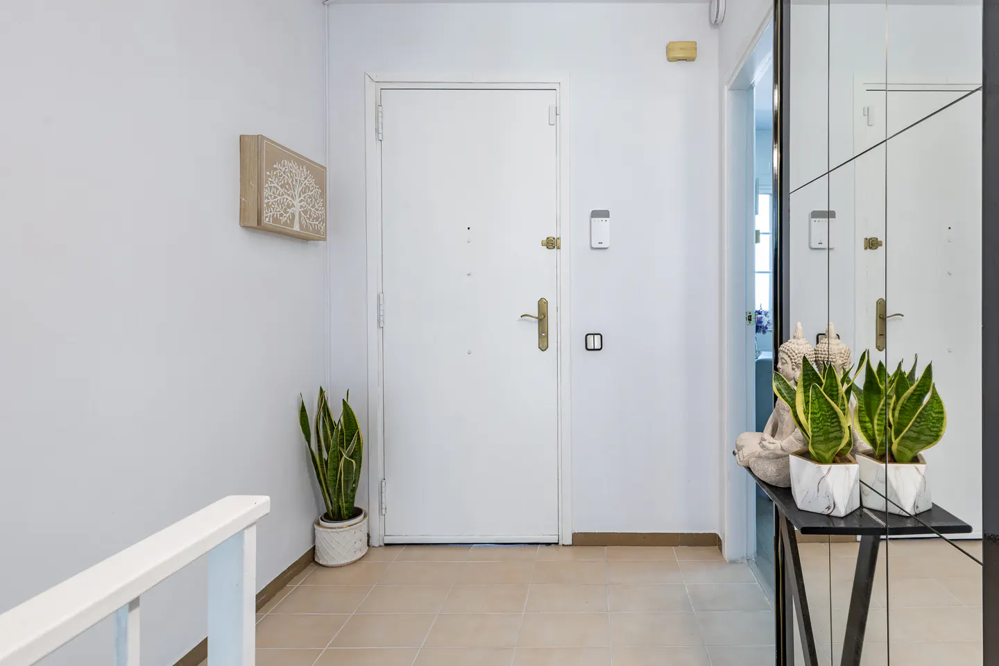 Bright entryway with a white door, a snake plant in a pot, wall art, and a mirrored console table with a Buddha statue.
