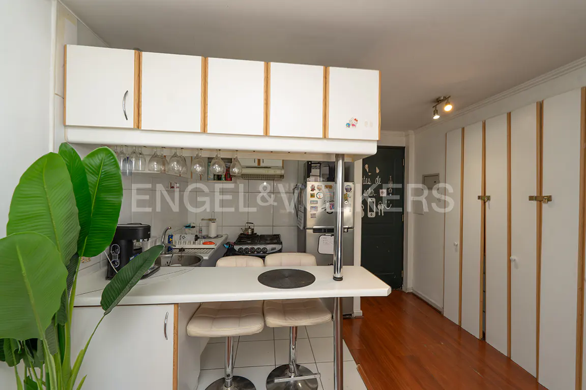 A compact kitchen with white cabinets, a breakfast bar with two stools, and a large green plant.