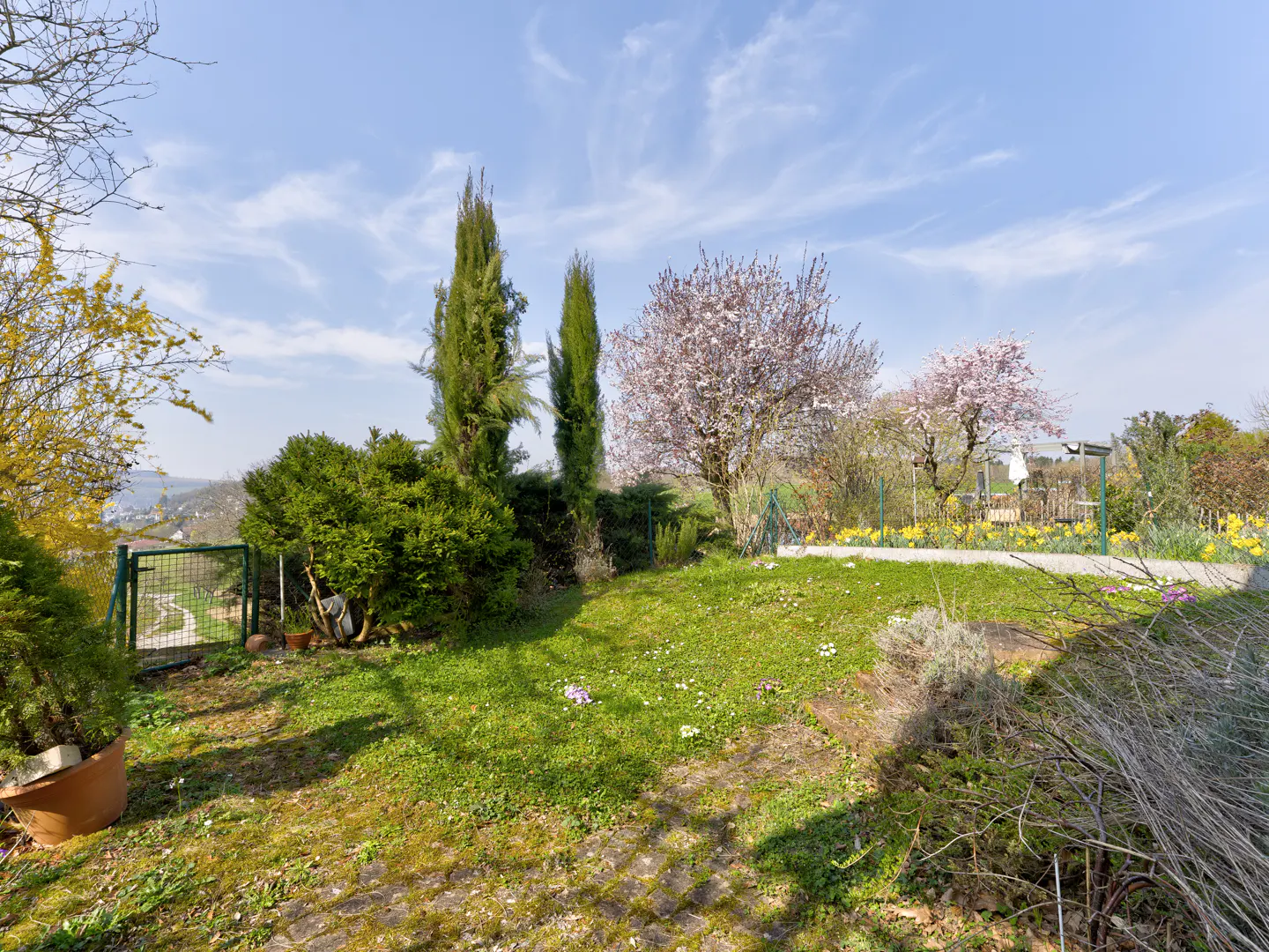 A lush green garden with trees, bushes, and flowers under a blue sky with light clouds.
