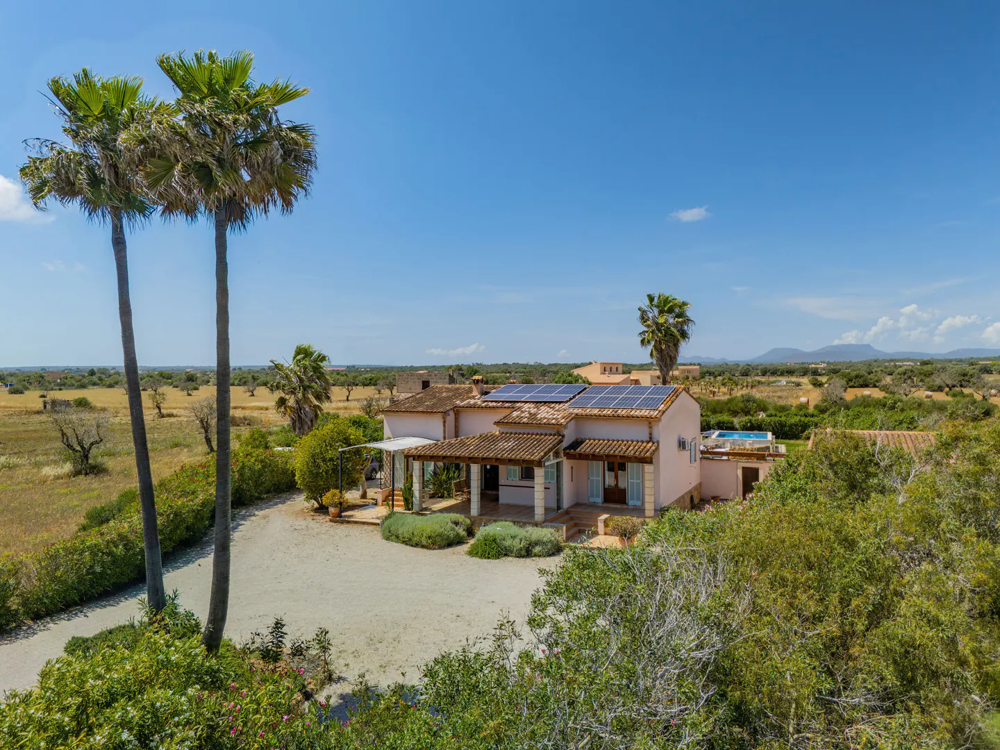 A pale pink house with solar panels and a pool, surrounded by trees and fields under a blue sky. Two tall palm trees stand in the foreground.