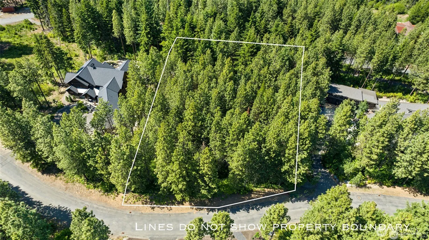 Aerial view of a wooded lot outlined in white, surrounded by tall green trees and a few houses in the background.
