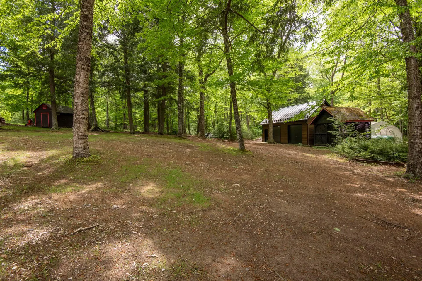 A wooded property with a brown dirt clearing, a dark brown shed, and a small red outbuilding.