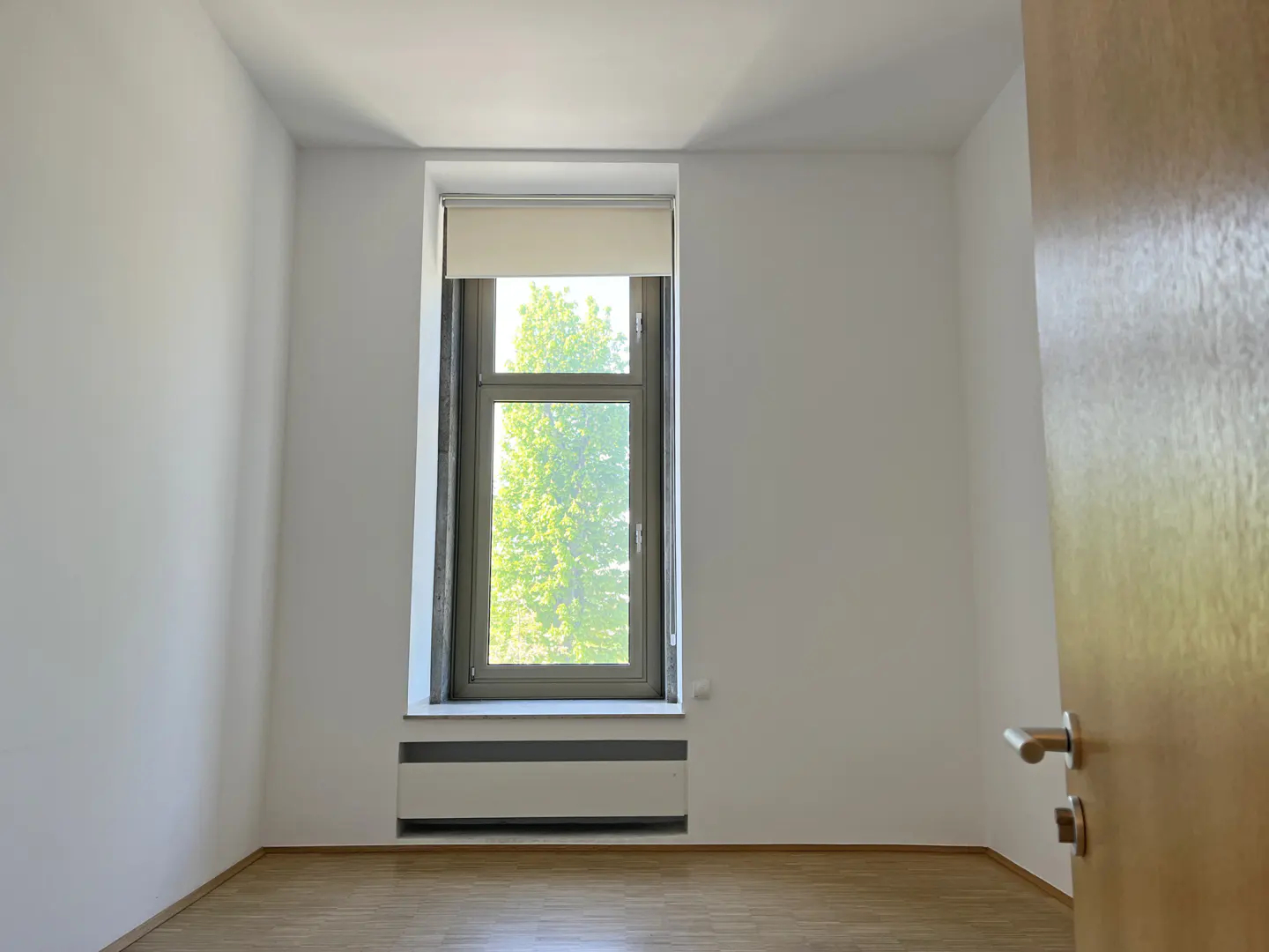 Bright, empty room with white walls, wood floor, and a window showing a green tree. A light wood door is ajar on the right.