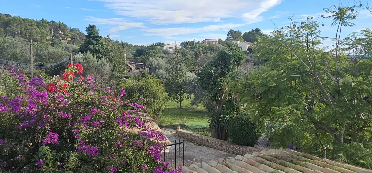 View of a lush garden with vibrant purple bougainvillea, palm trees, and distant houses under a blue sky.