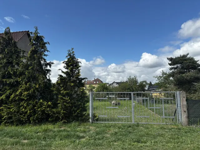 A grassy vacant lot enclosed by a metal fence, framed by tall evergreen trees under a bright blue sky with white clouds.