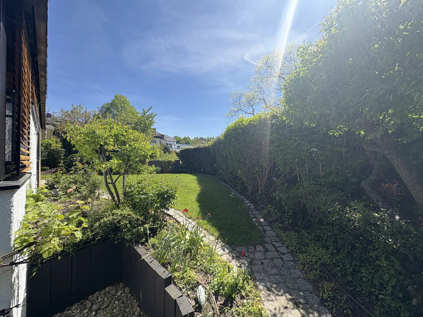 A sunny backyard with a stone path, lush green lawn, manicured hedges, and trees under a clear blue sky.