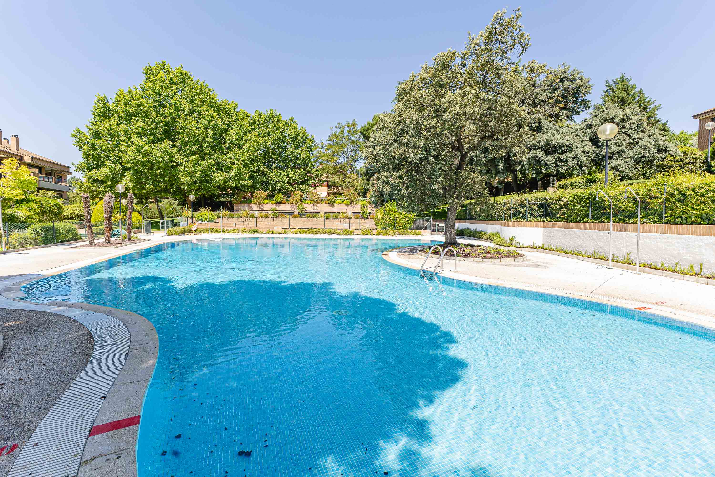 Luxury renovated home ready to move in