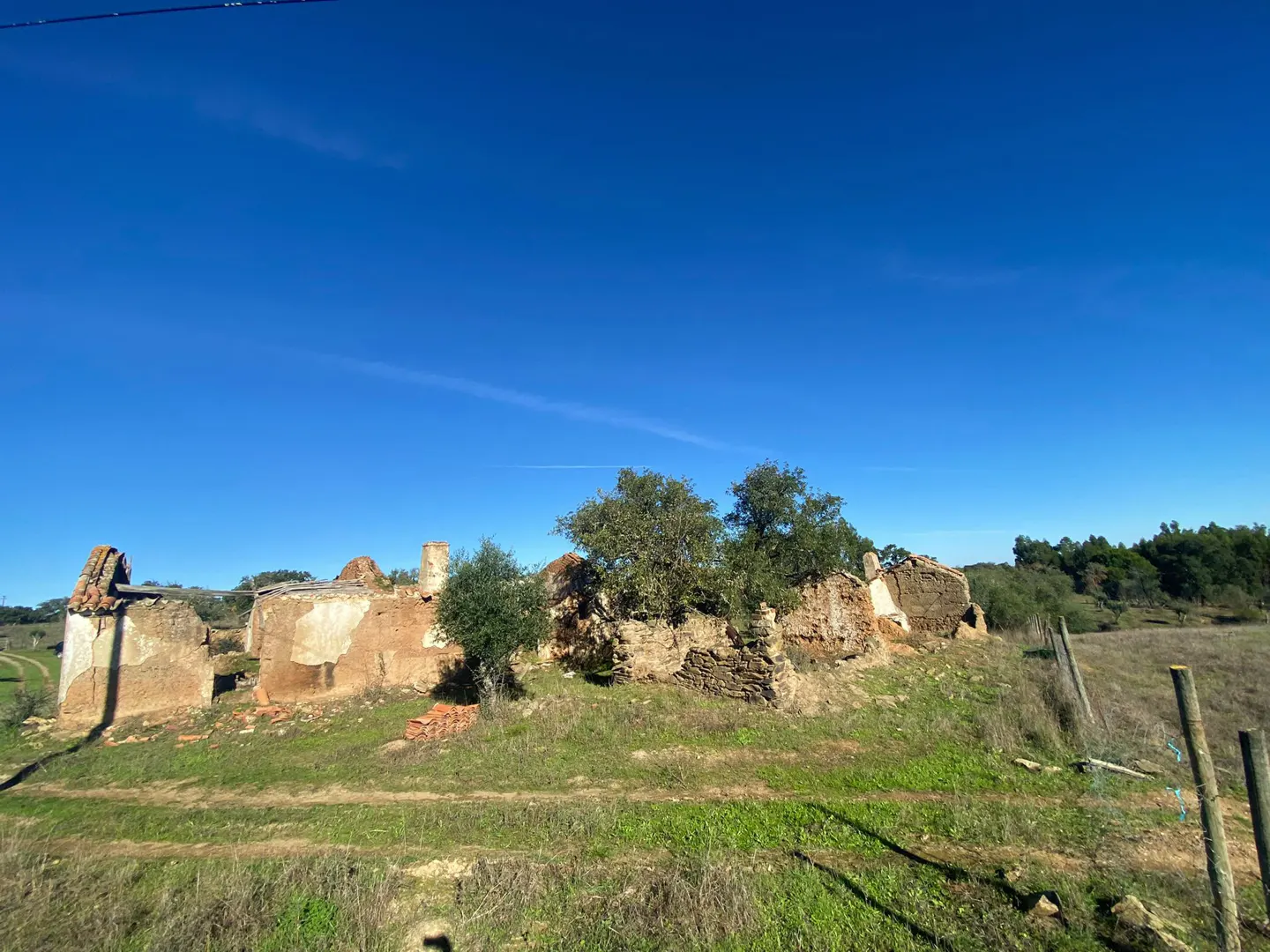Ruins of an old stone house on a grassy hill under a clear blue sky. Trees grow among the crumbling walls.