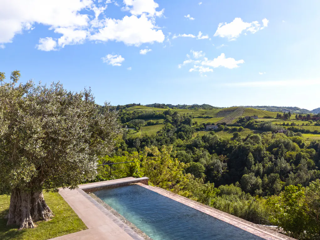 Outdoor pool overlooking green hills under a blue sky with white clouds. A tree is on the left.
