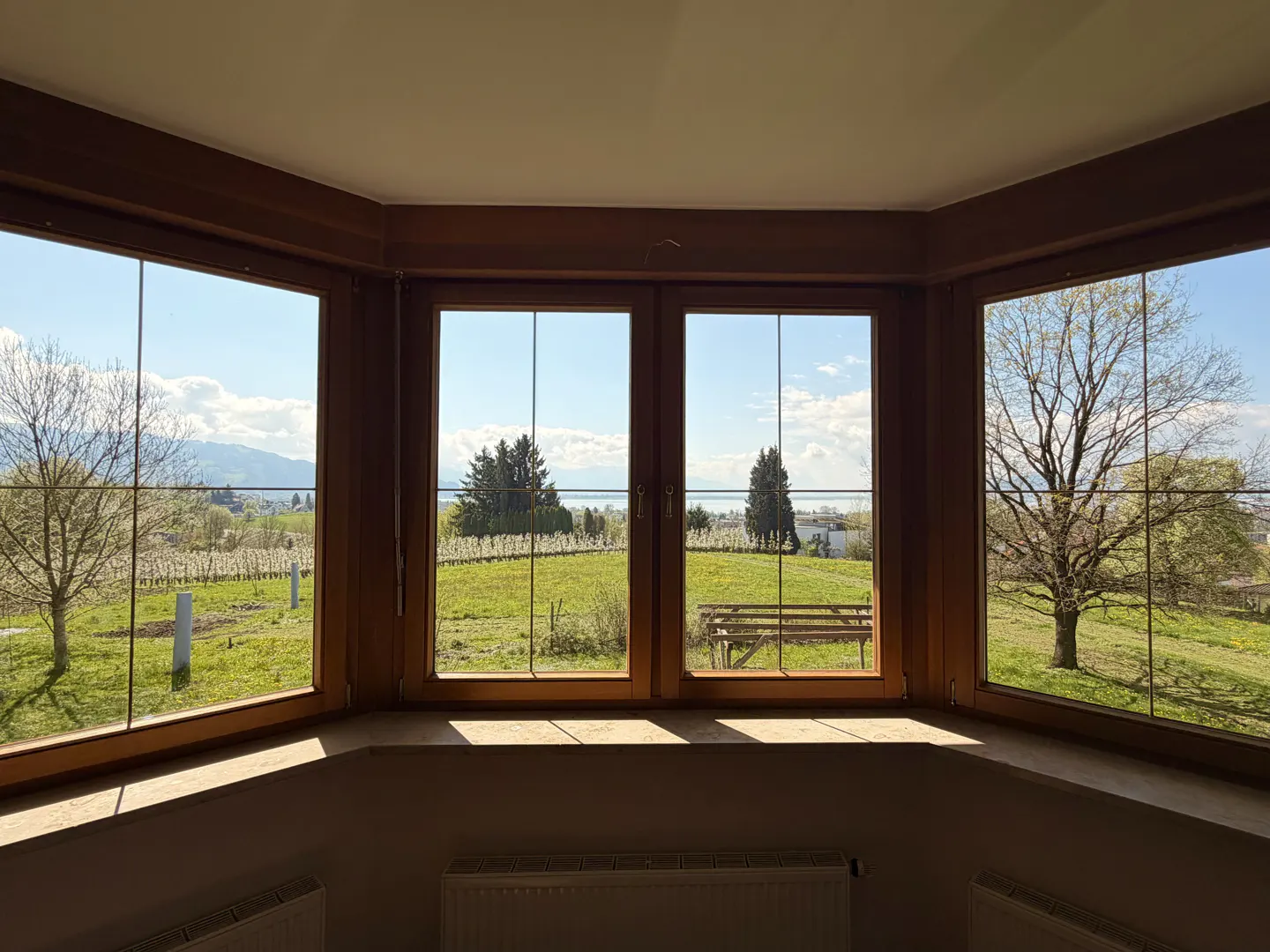 View from a window with a brown frame overlooking a green field with trees and a blue sky.