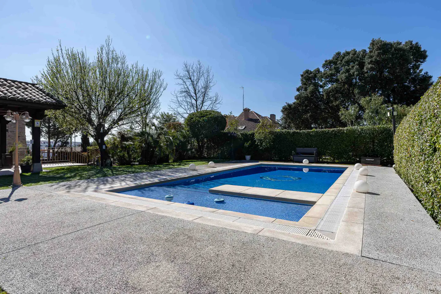 A backyard with a blue tiled pool, a gray stone patio, green grass, trees, and a tall green hedge under a clear blue sky.