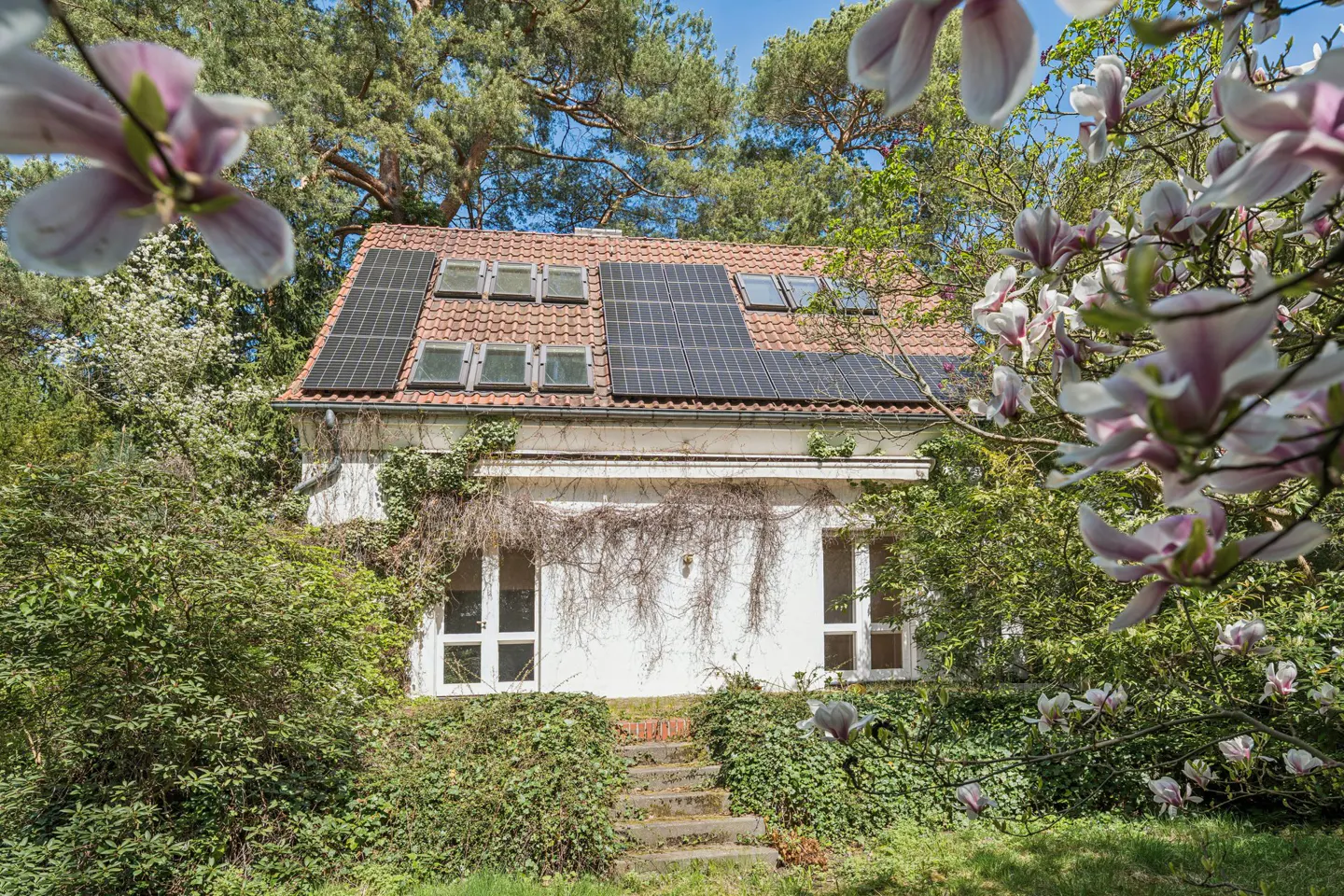 A white house with solar panels on a red tile roof, surrounded by lush greenery and magnolia blossoms.