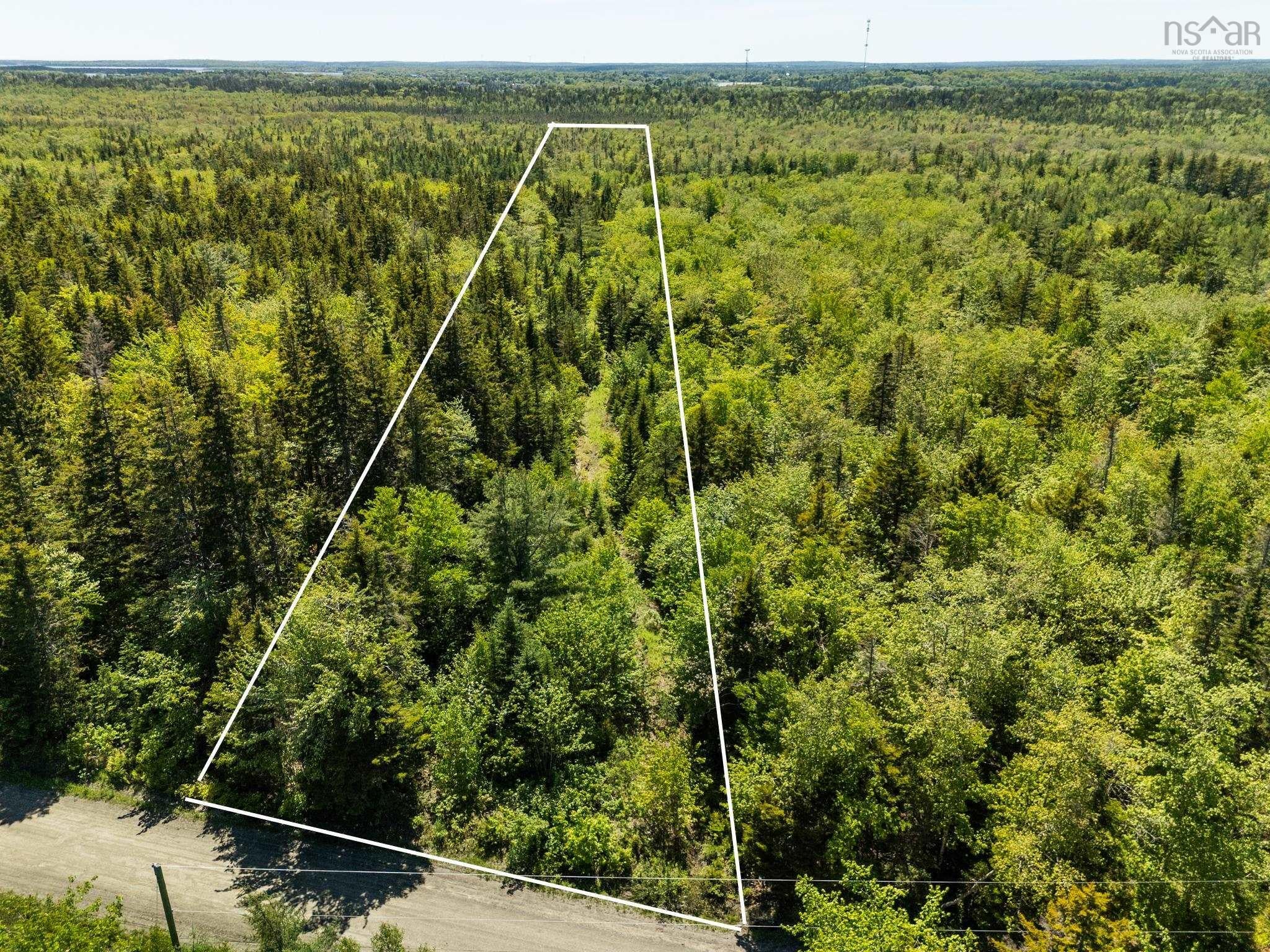 Opportunity Awaits On 3.18 Acres