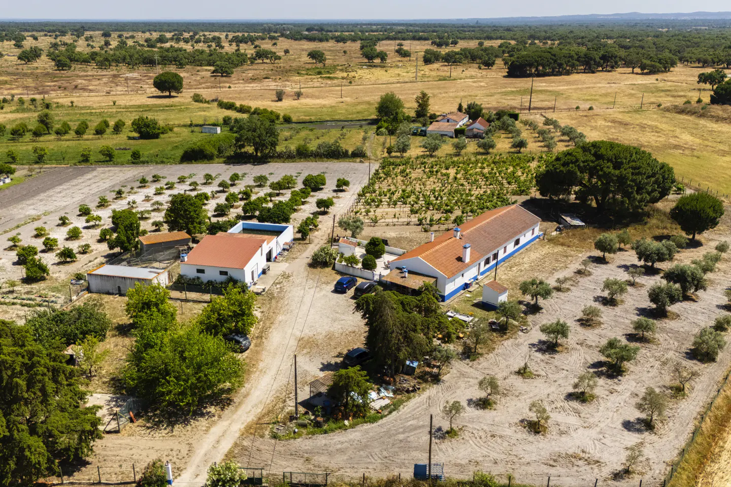 Aerial view of a rural estate with white buildings, orange roofs, orchards, and vineyards in a dry, sunny landscape.
