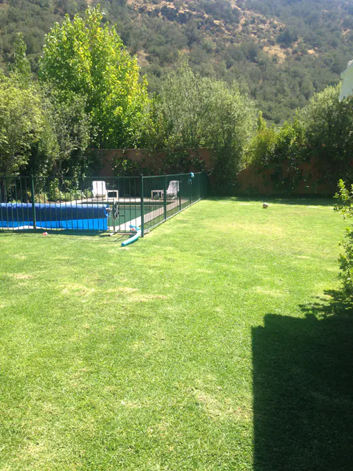A backyard with a blue pool, green grass, and a dark green fence. Trees and a mountain are in the background.