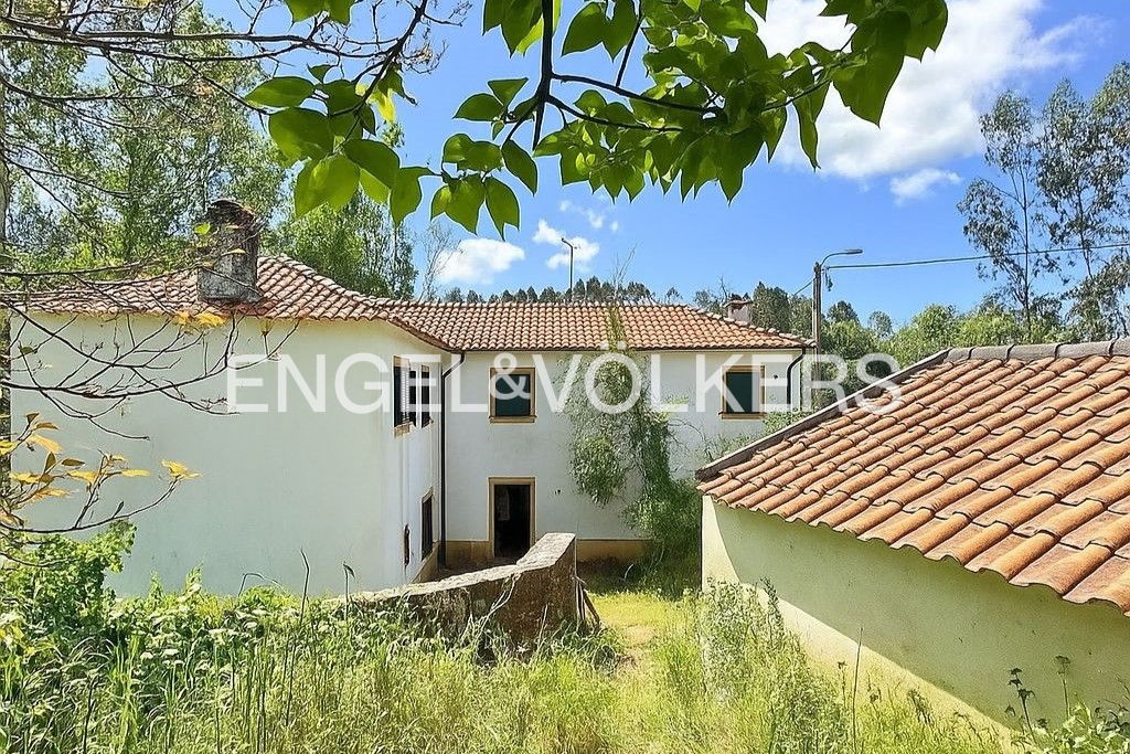 Historic Estate in Avanca