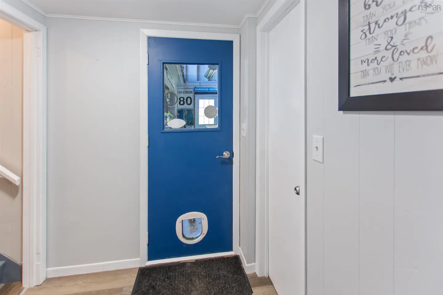 Interior shot of a blue door with a window and pet door, next to a white door and framed wall art.