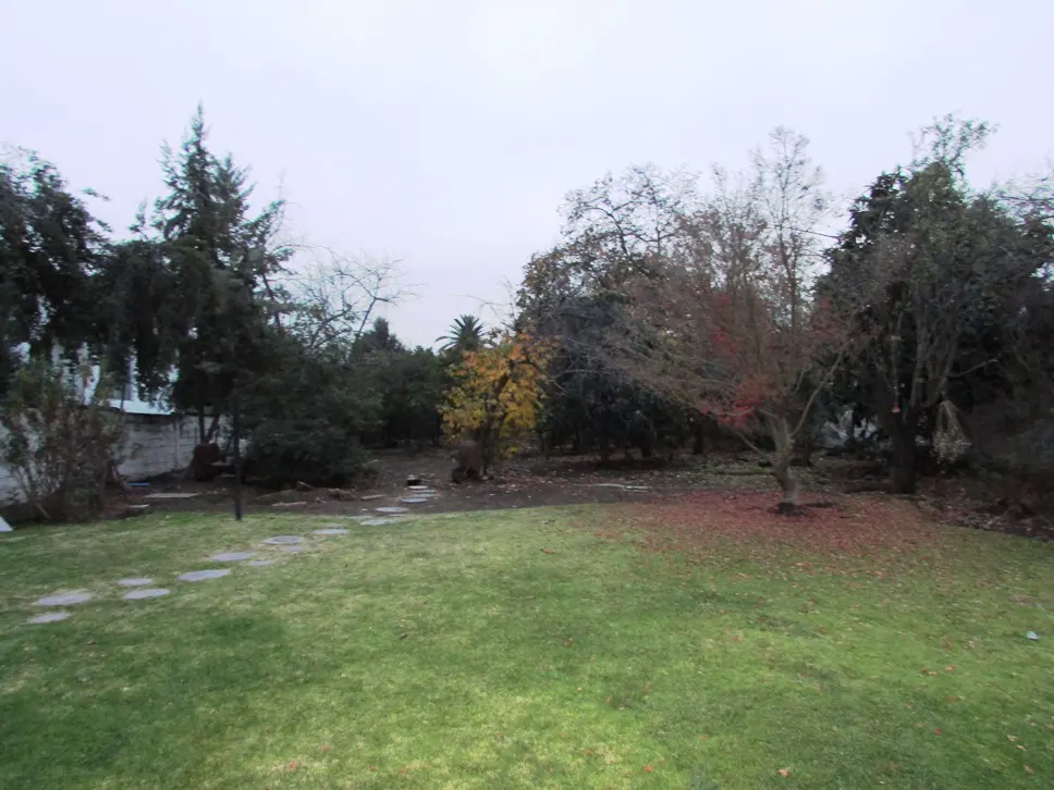 A backyard with green grass, trees, and a stone path on a cloudy day.