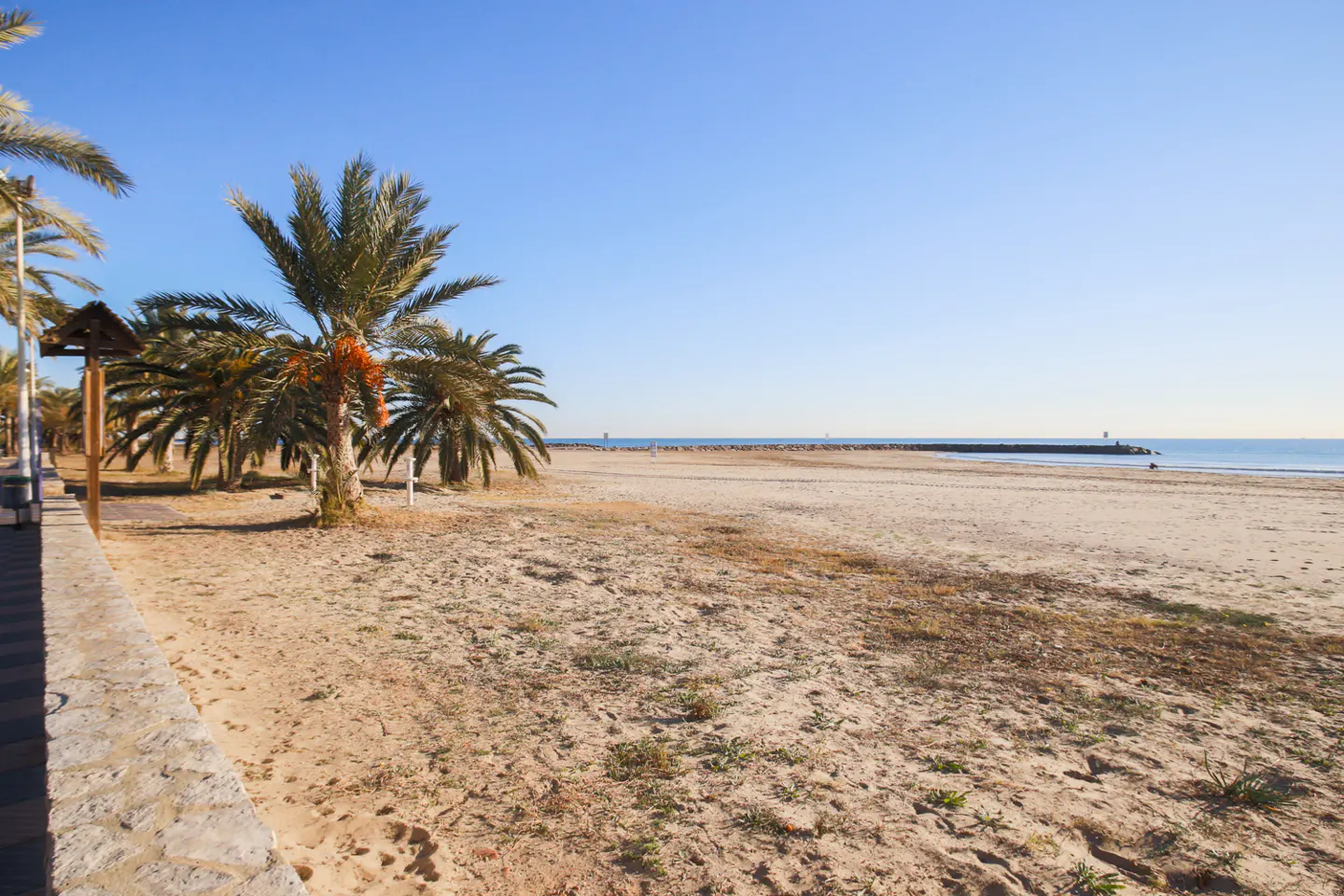 Sandy beach with palm trees under a clear blue sky. A stone walkway runs along the edge of the beach.