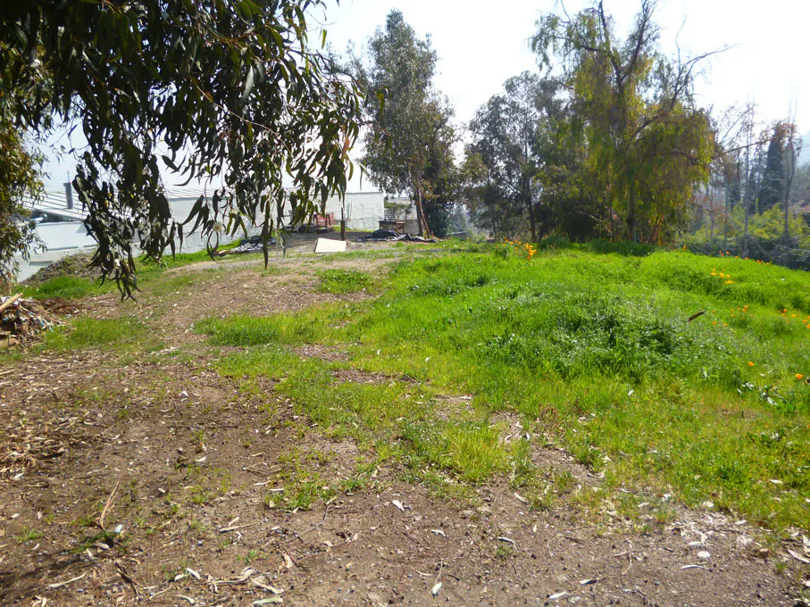 Vacant lot with green grass, trees, and a dirt path. A white building is visible in the background.