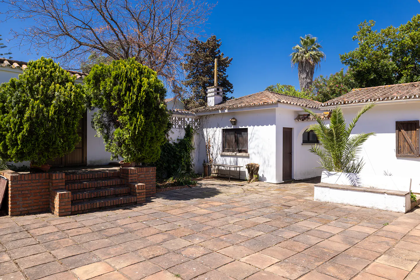 A sunny stone patio leads to a white villa with brick steps, lush green bushes, and a palm tree under a clear blue sky.