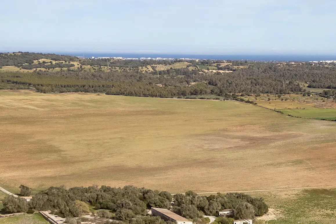 Aerial view of a large, dry, golden field bordered by trees, with a distant coastline and blue sky.