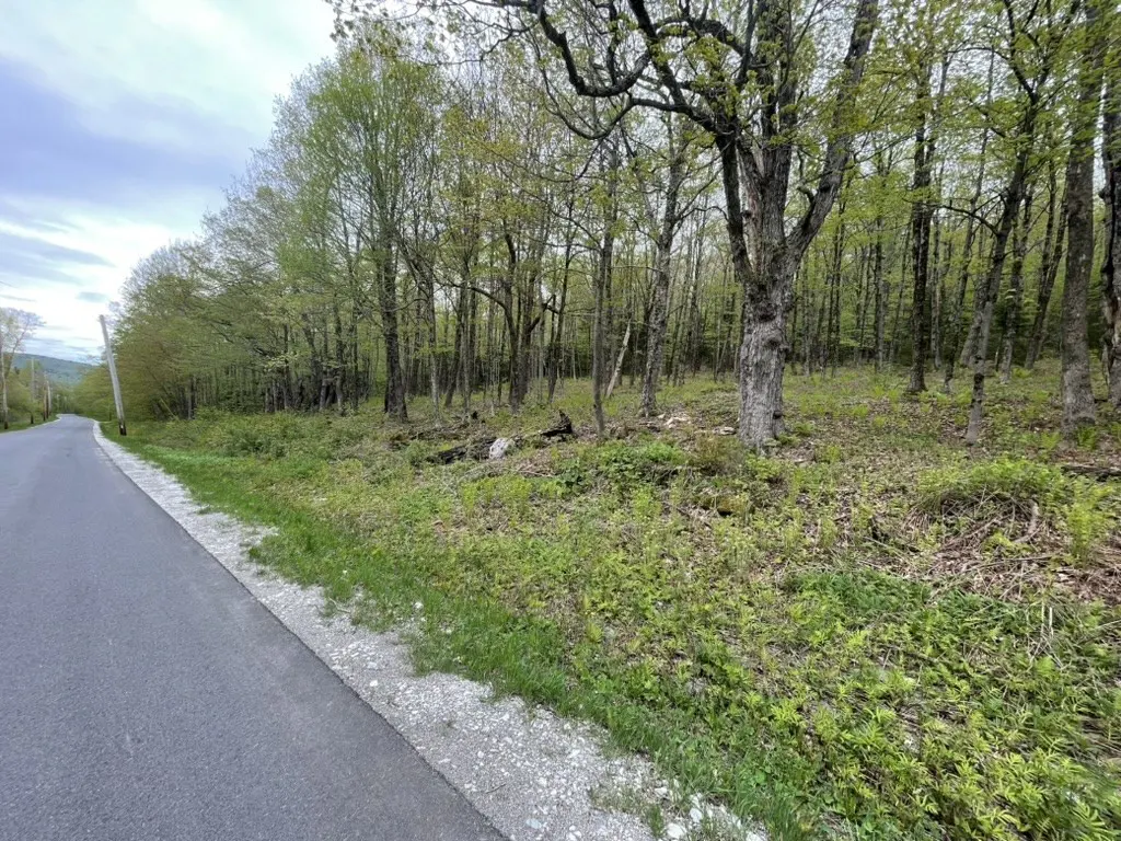 A wooded lot next to a paved road. Green trees and undergrowth cover the land. Cloudy sky.