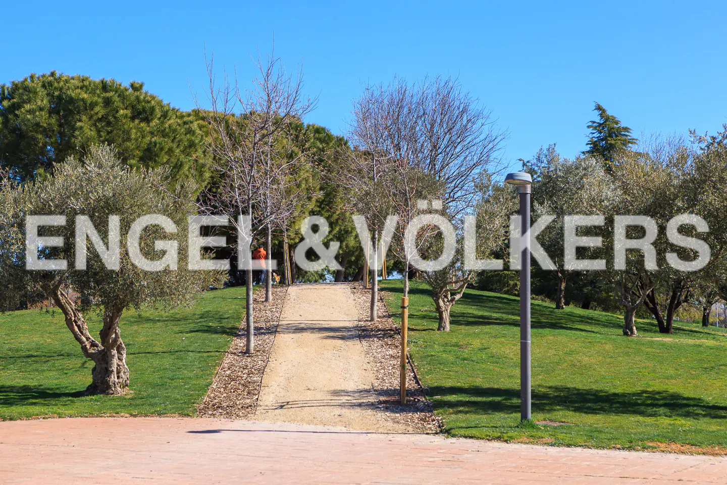 Engel & Völkers logo over a park path. Trees line the path, with green grass and a blue sky above.